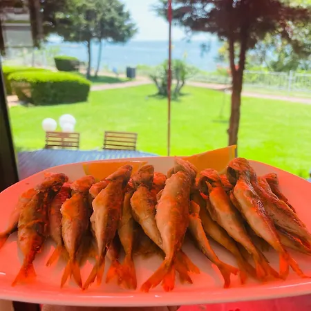 Sun Palace Apartman