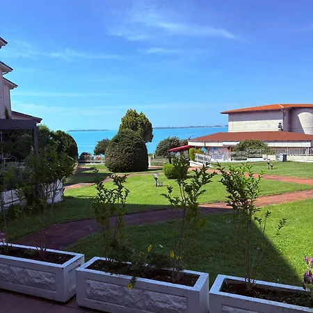 Sun Palace * Szveti Vlasz